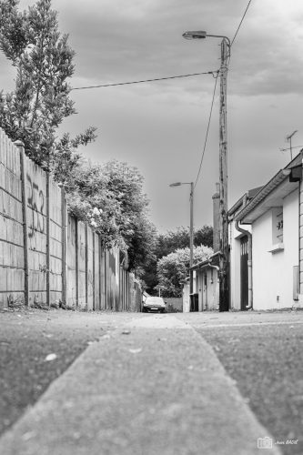 JBADIE BnW-12