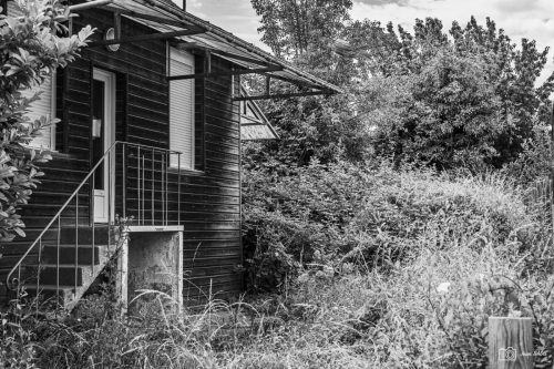 JBADIE BnW-13