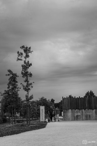 JBADIE BnW-3