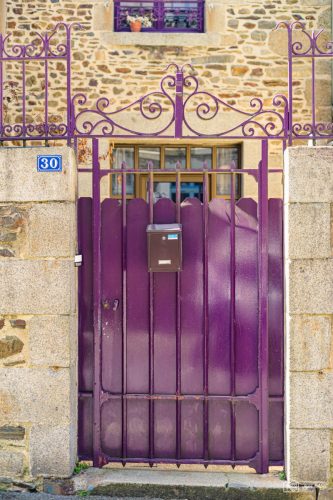 JBADIE Violet-2