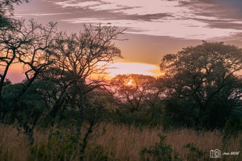 Afrique du Sud, le soleil se lève.