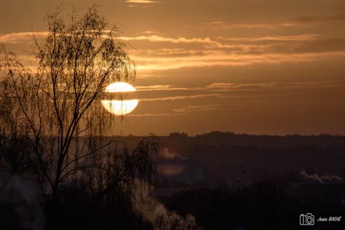 Fougères un jour d'hiver.